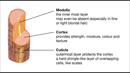 WHY HAIR DRY AND TANGLE ?